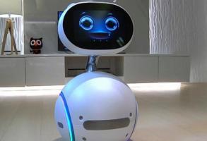 Бытовые роботы