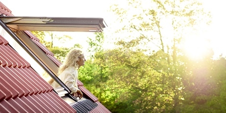 Мансардні вікна Панорама GPL 2070 GPU 0070