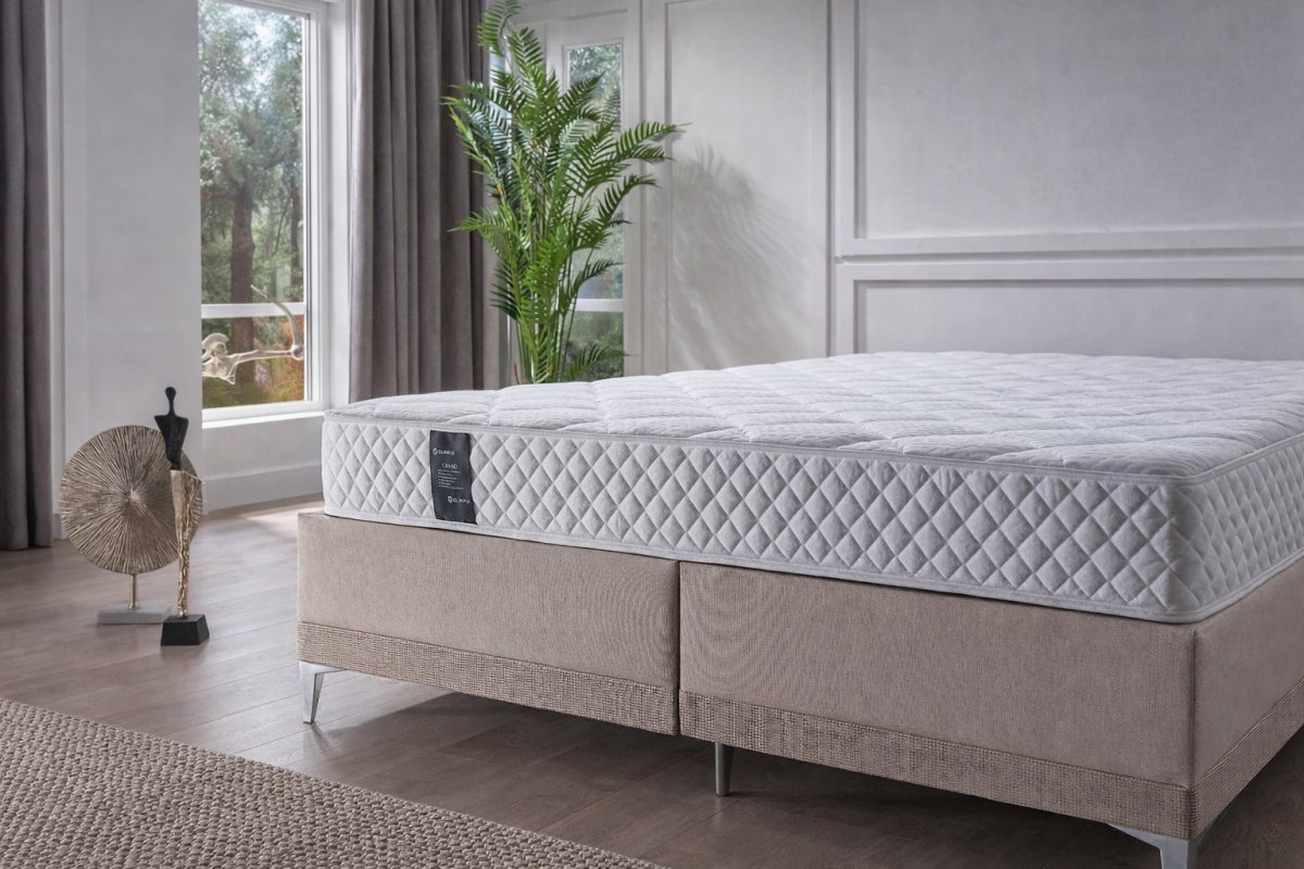 Основания и каркасы